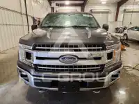 2019 Ford F-150 photo