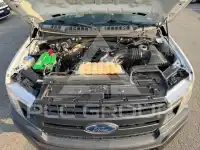 2019 Ford F-150 фото