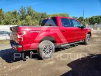 2019 Ford F-150 photo