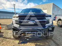 2019 Ford F-150 фото