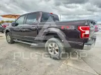 2019 Ford F-150 фото
