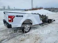 2019 Ford F-150 photo