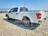 2019 Ford F-150 фото