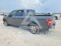 2019 Ford F-150 фото