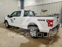 2019 Ford F-150 фото