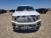 2019 Ford F-150 фото