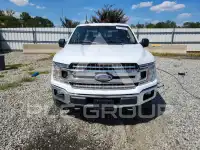 2019 Ford F-150 фото