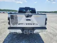 2019 Ford F-150 фото