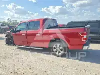 2019 Ford F-150 photo
