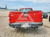 2019 Ford F-150 photo