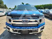 2019 Ford F-150 фото