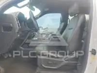 2019 Ford F-150 фото