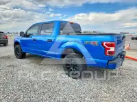 2019 Ford F-150 photo