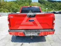 2019 Ford F-150 photo