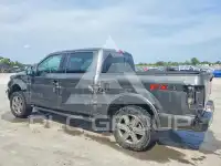 2019 Ford F-150 photo