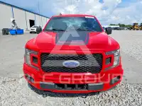 2019 Ford F-150 фото