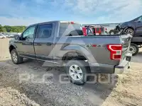 2019 Ford F-150 фото