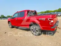 2019 Ford F-150 фото