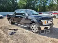 2019 Ford F-150 photo