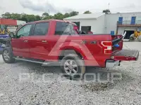 2019 Ford F-150 фото