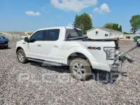 2019 Ford F-150 photo
