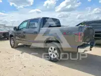 2019 Ford F-150 фото