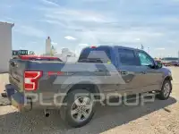 2019 Ford F-150 фото