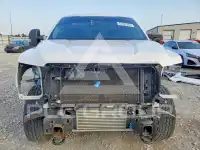 2019 Ford F-150 фото