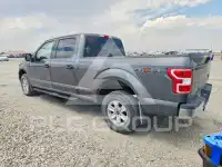 2019 Ford F-150 фото