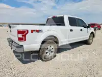 2019 Ford F-150 фото