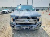 2019 Ford F-150 photo