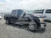 2019 Ford F-150 фото