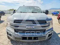 2019 Ford F-150 photo