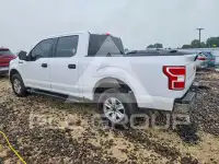2019 Ford F-150 фото