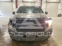 2019 Ford F-150 photo
