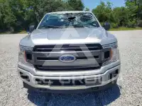2019 Ford F-150 photo