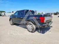 2019 Ford F-150 photo