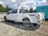 2019 Ford F-150 фото