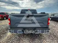 2019 Ford F-150 фото
