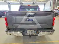 2019 Ford F-150 фото