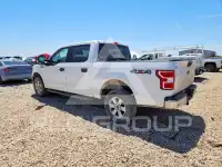 2019 Ford F-150 фото
