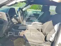 2019 Ford F-150 фото