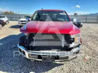 2019 Ford F-150 фото