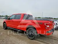 2019 Ford F-150 photo