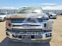 2019 Ford F-150 фото