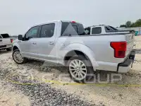 2019 Ford F-150 фото
