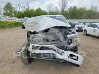 2019 Ford F-150 фото