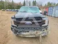 2019 Ford F-150 фото