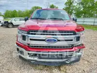 2019 Ford F-150 фото