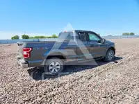2019 Ford F-150 фото